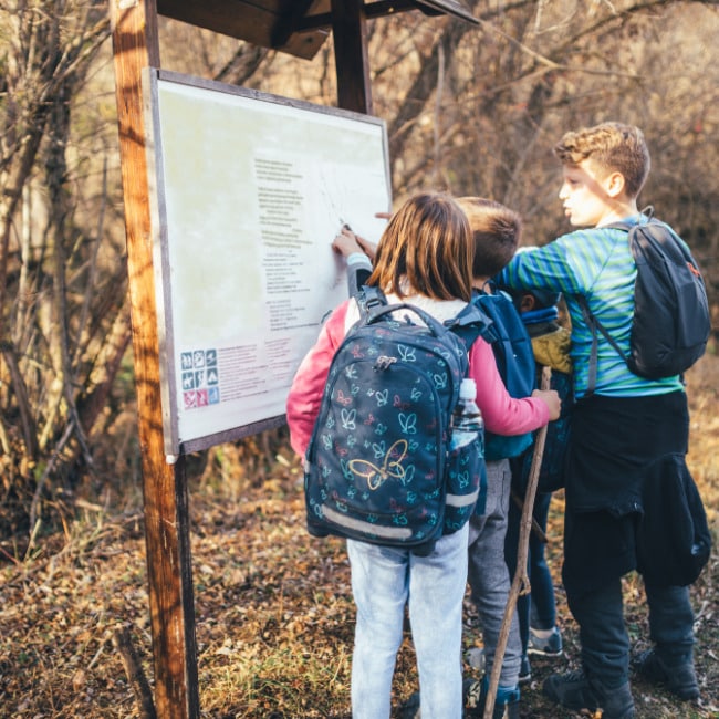 Hiking With Kids - Hike at Their Pace And Plan Around It